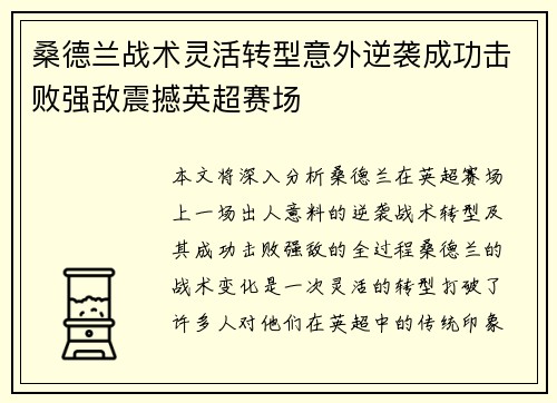 桑德兰战术灵活转型意外逆袭成功击败强敌震撼英超赛场
